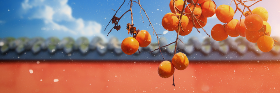 霜降 | 寒霜冬將至，補陽須及時