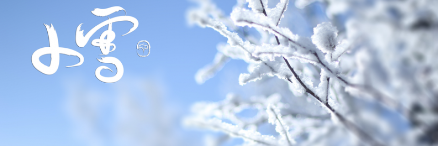 小雪丨雪落天地寒，愿君多珍重