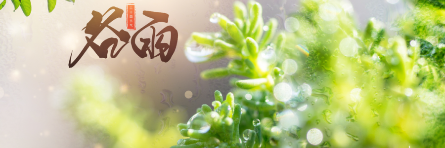 谷雨丨雨生百谷，人間向暖