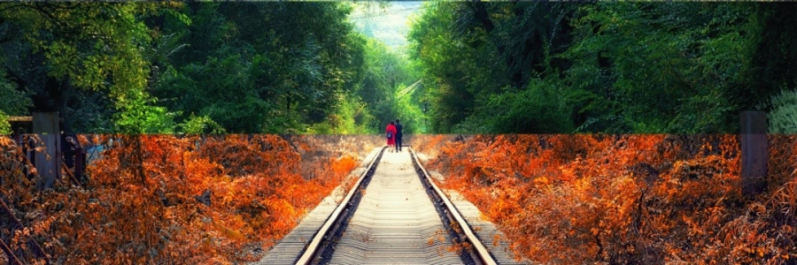 趁熱“拔除”頑固疾病，讓體質(zhì)打個翻身仗！