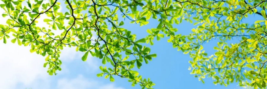 警告：夏天千萬不能做的5件事！快來看看~