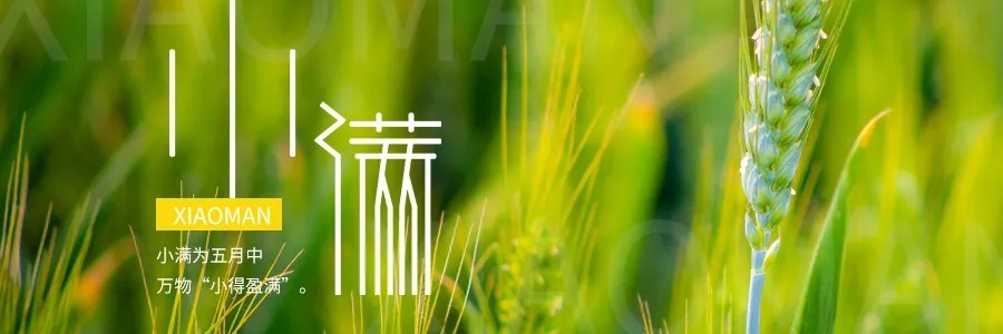 小滿丨小得盈滿，平安入夏