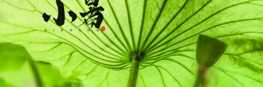小暑丨避暑養(yǎng)心，準(zhǔn)備入伏
