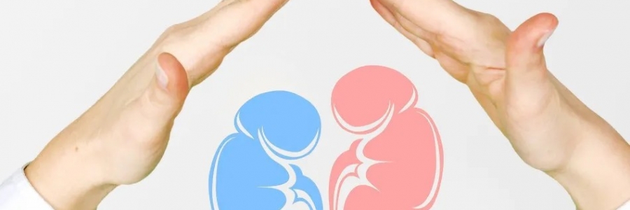 兩個人體的“長壽穴”，每天揉一揉，健康又長壽