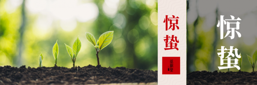 驚蟄 | 驚起春潮，蟄動萬物