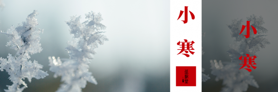 小寒 | 冰封至，寒極陽(yáng)生